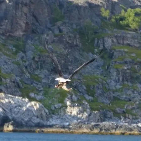 Visit * Årviksand